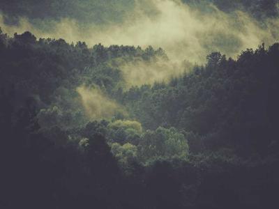 蒸とアテ ふぅふぅ 京都駅前店